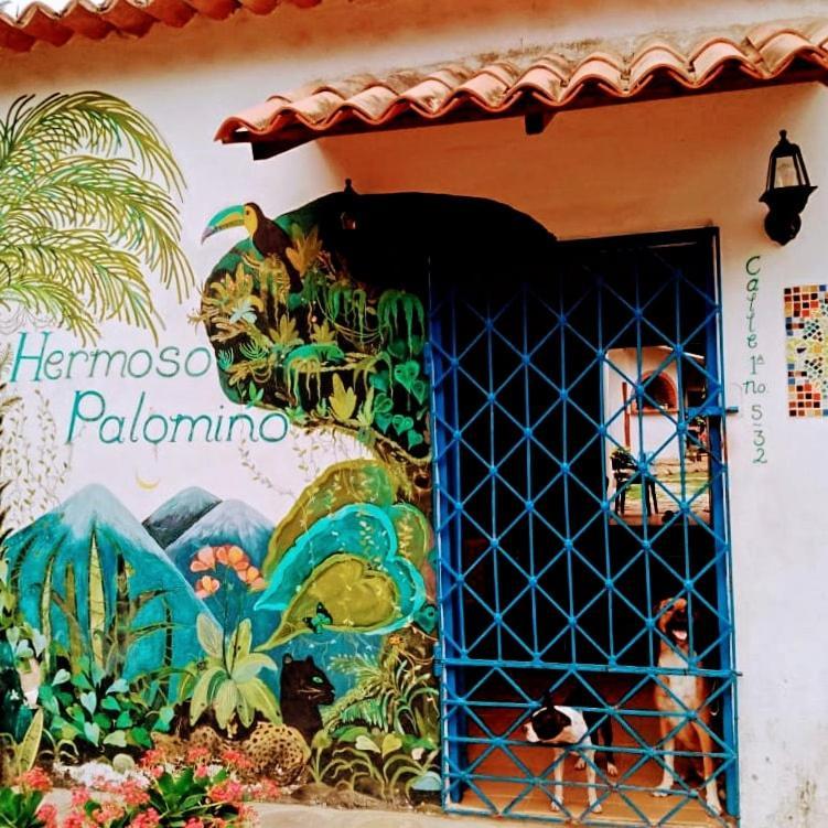 Hermoso Паломино Экстерьер фото